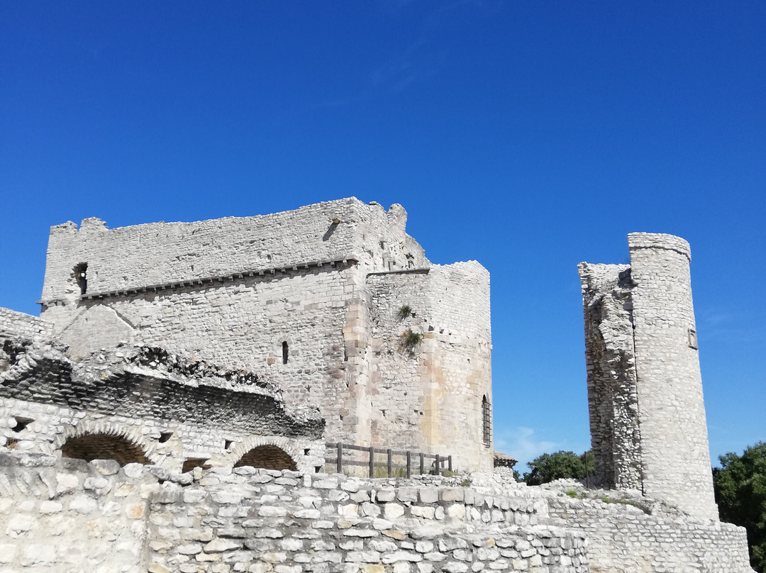 Chateau de Thouzon景点图片