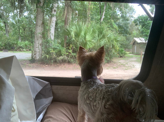 Faver-Dykes State Park-圣奥古斯丁必去景点