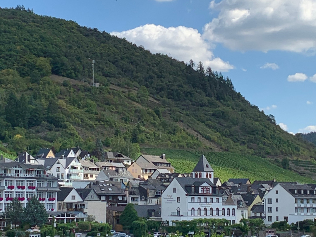 Hotel Karl Muller主图