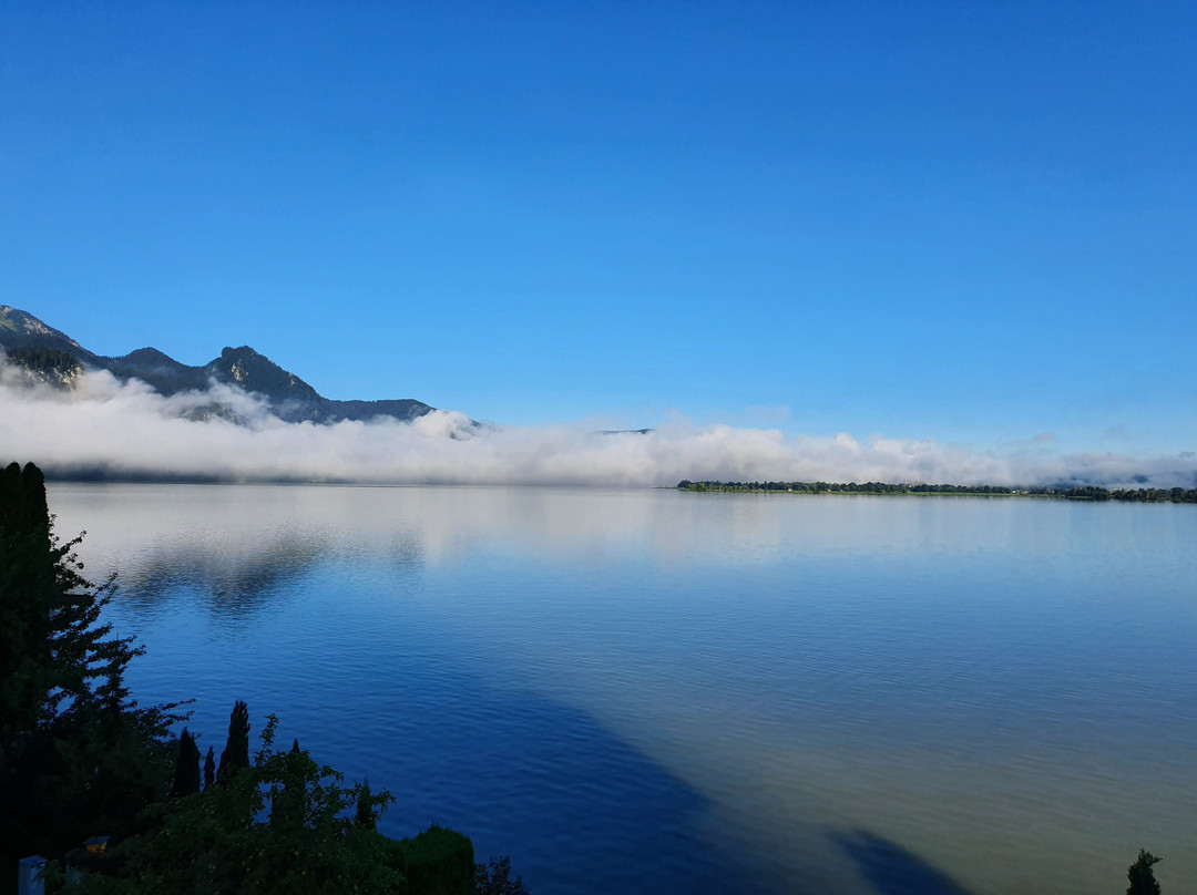 Seehotel Grauer Baer主图