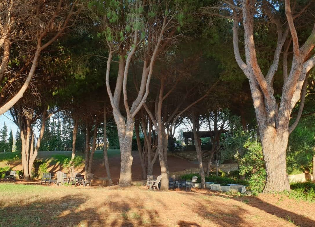 Borgo Piazza主图