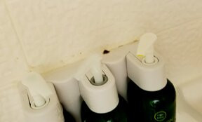 Fairfield Inn Tuscaloosa主图