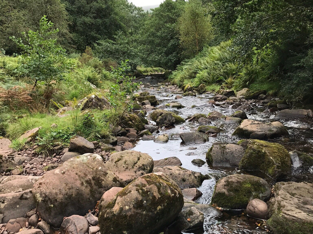 Lower Blaen y Glyn-Talybont-on-Usk必去景点