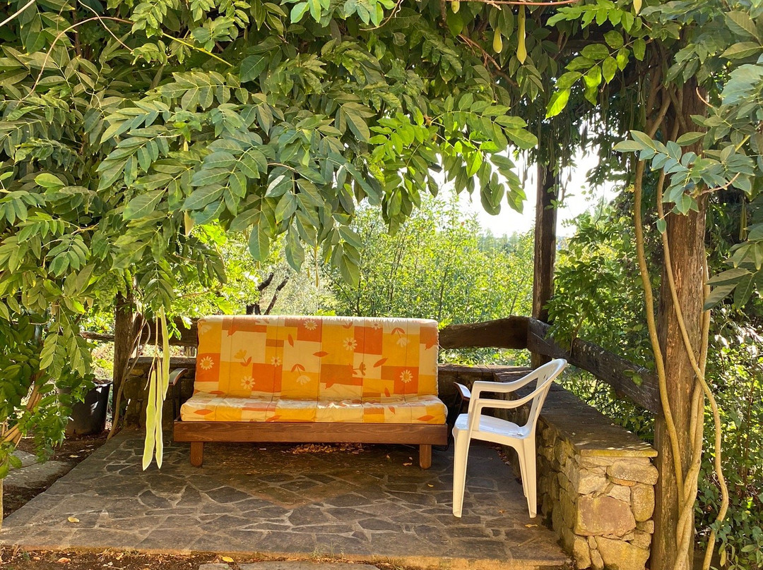 Palma's Country B&B主图