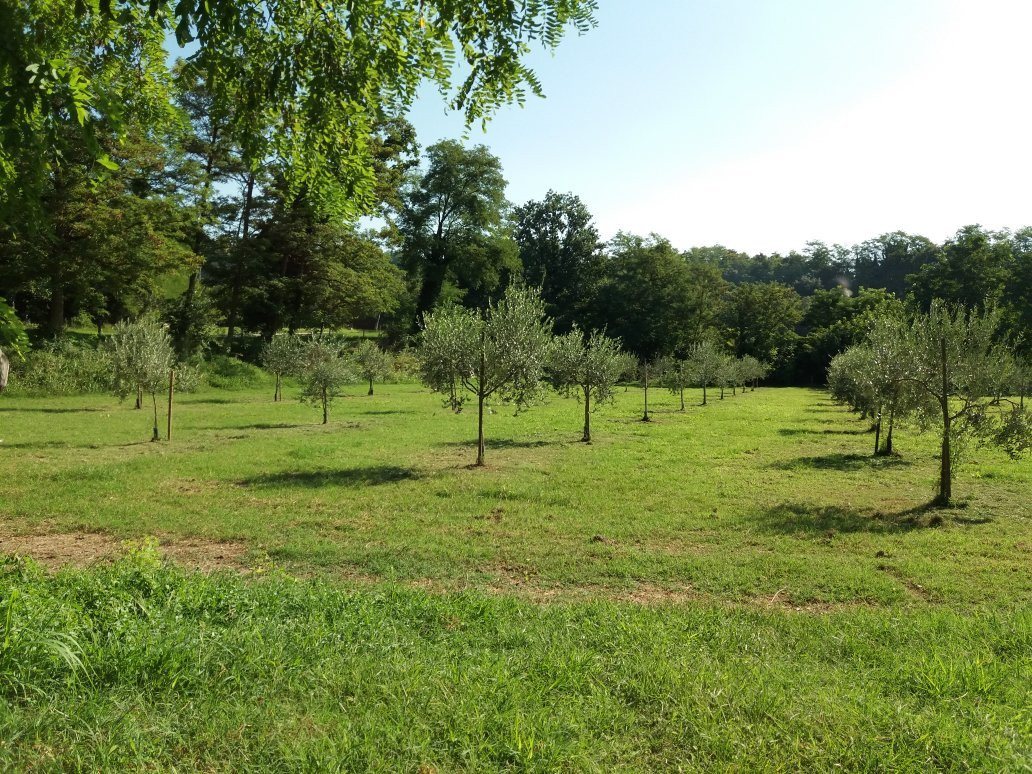 Tenuta Le Sorgive - Cascina Le Volpi主图