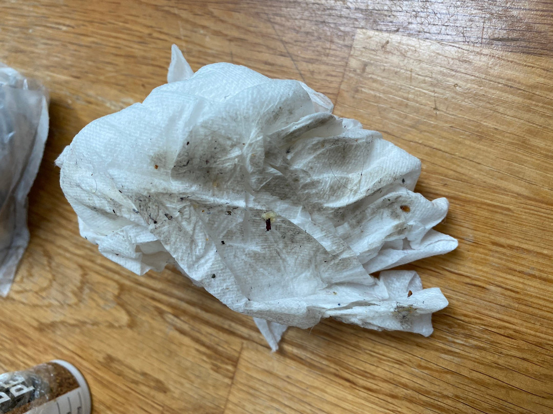 Newington旅游攻略图片