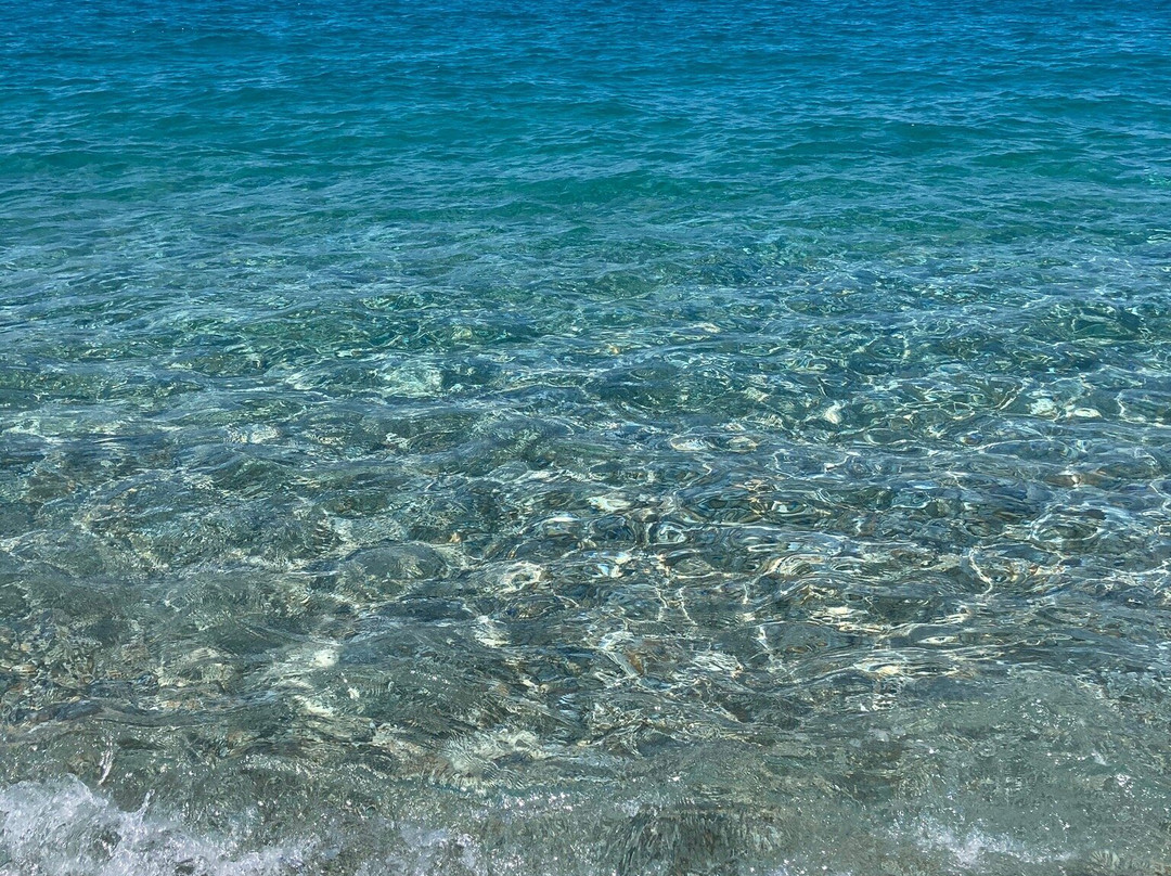 Marina旅游攻略图片