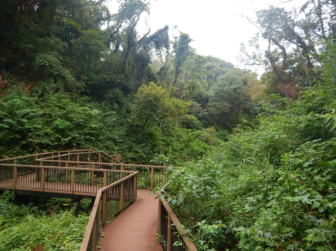 Koajiro Forest-三浦市必去景点