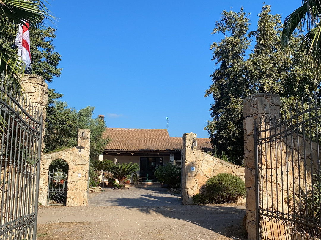 Agriturismo Villa degli Ulivi di Michela Puliga主图