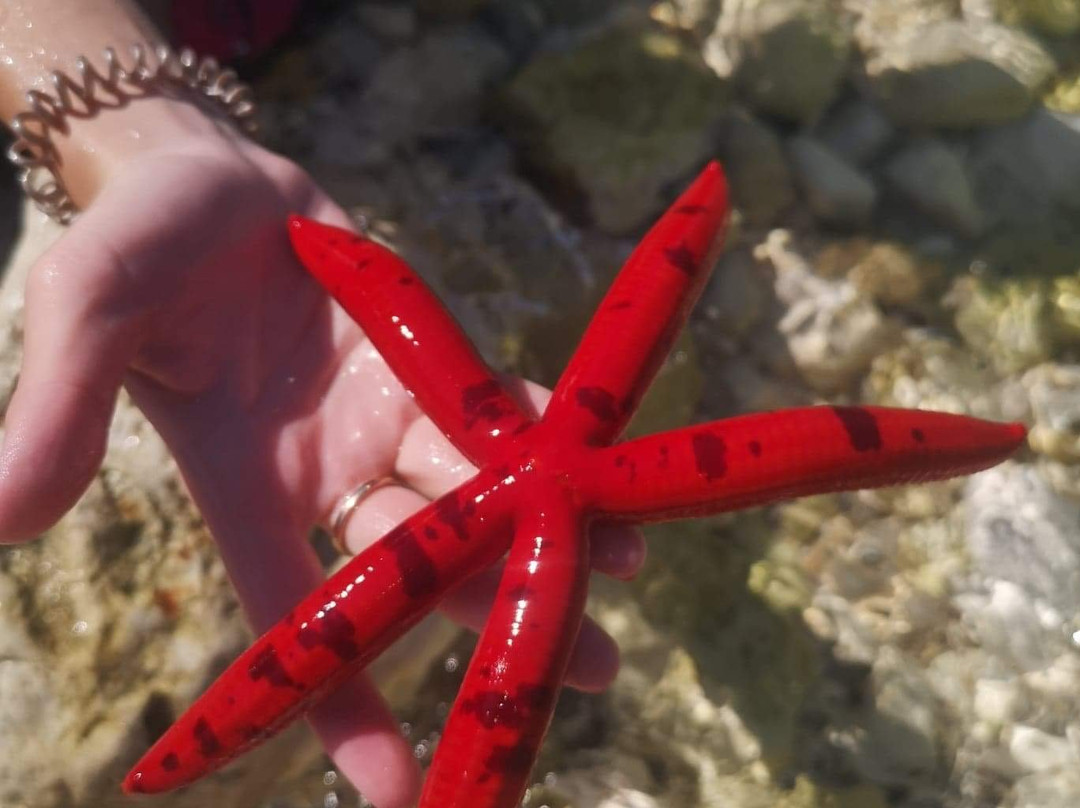 Avra Sunset Sea View Liapades主图