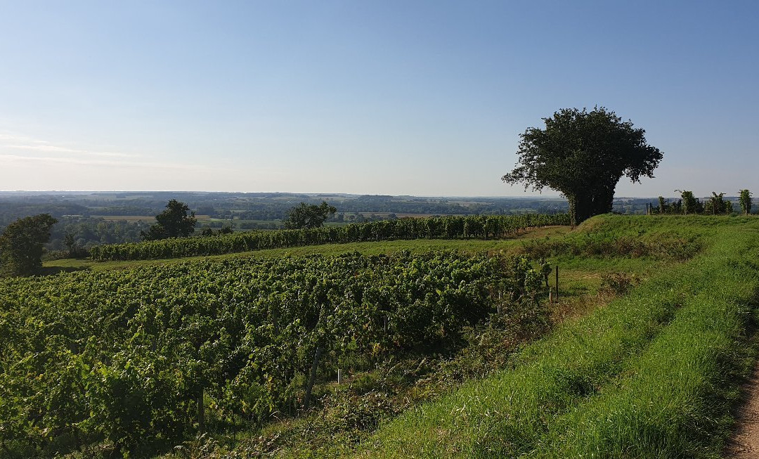 Domaine de Noiré景点图片