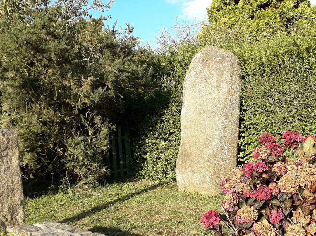 Menhir de Trémarche à Trégastel景点图片