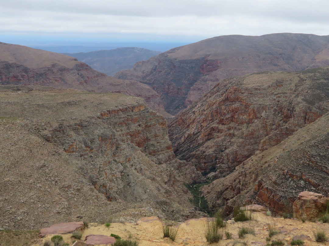 Elgin Africa-Elgin必去景点