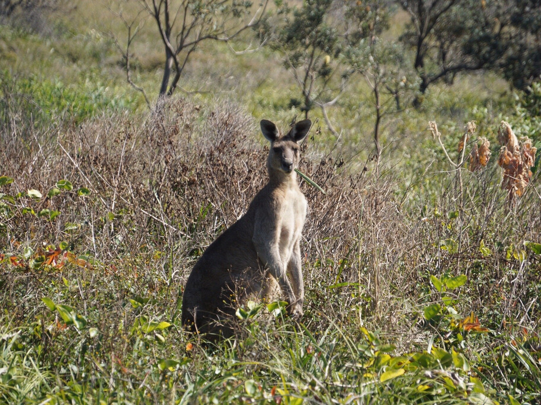 Yuraygir National Park景点图片