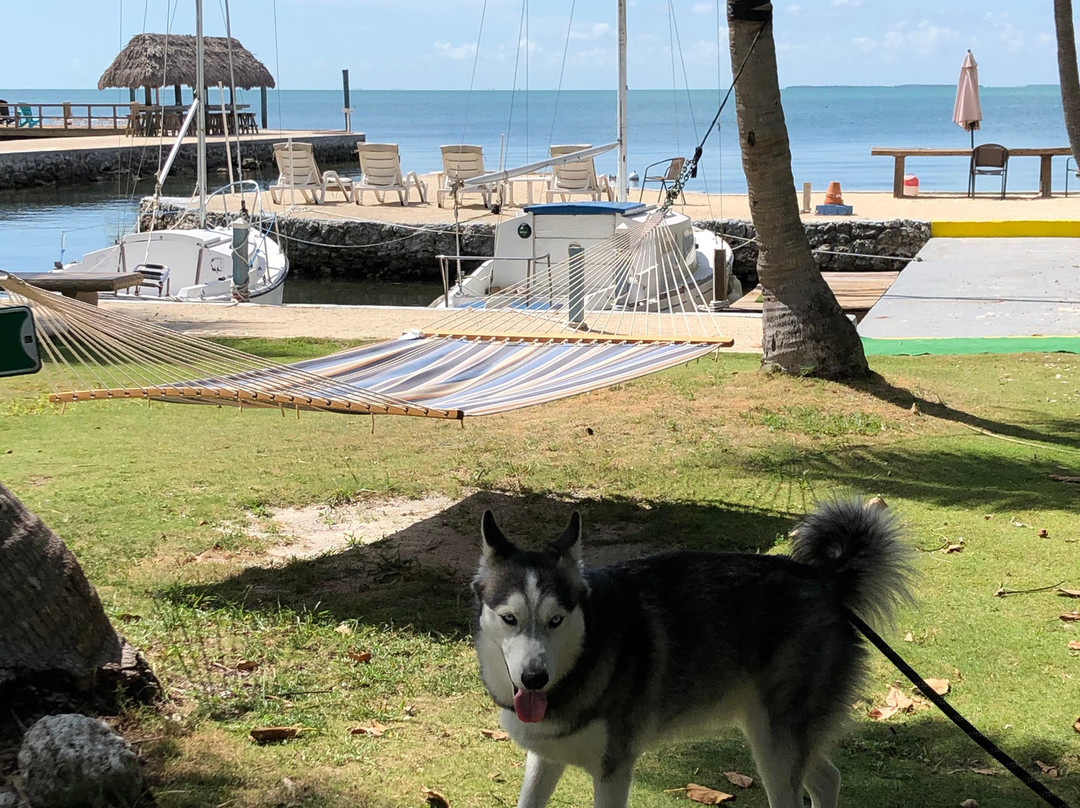 Best of Both Worlds主图