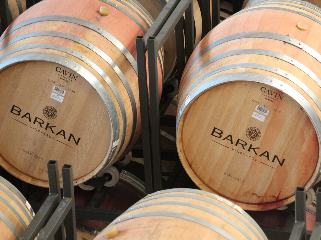 Barkan Vineyards景点图片