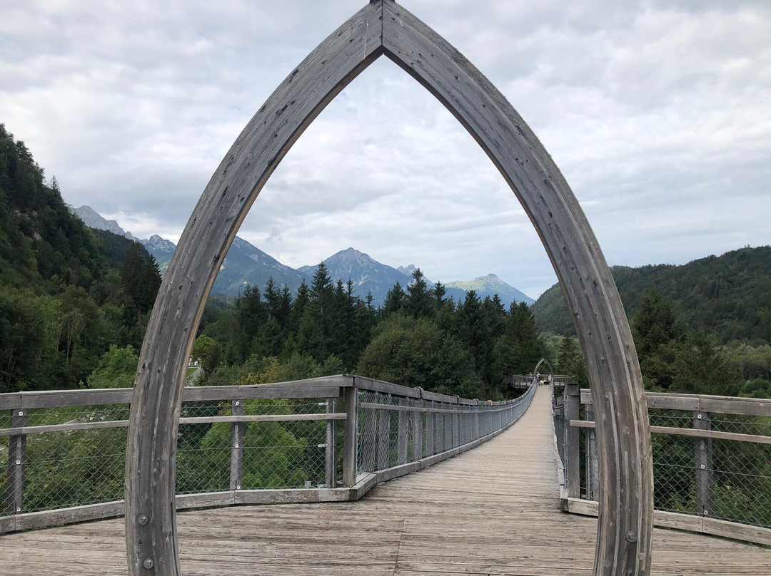 Baumkronenweg Ziegelwies景点图片