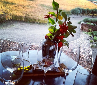 Mountains and Wine-门多萨必去景点