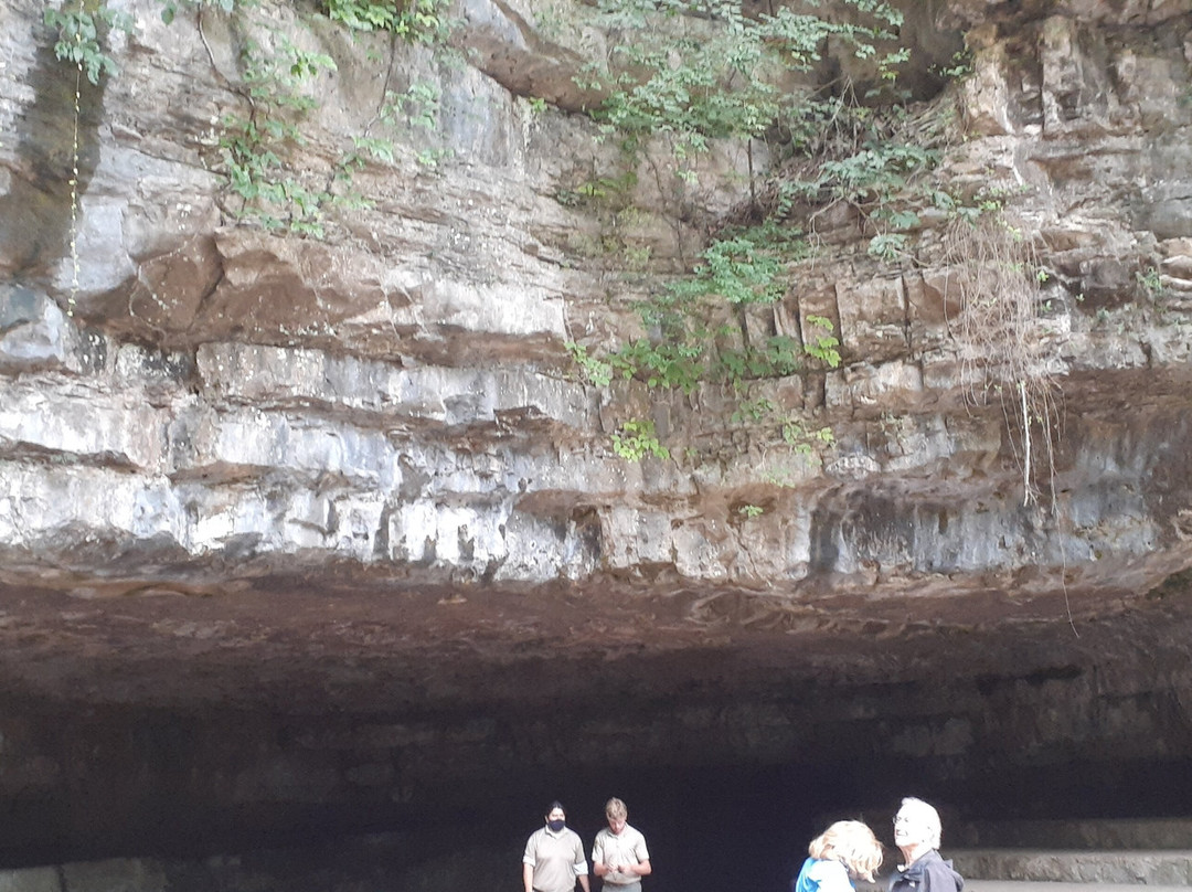 Dunbar Cave-克拉克斯维尔必去景点