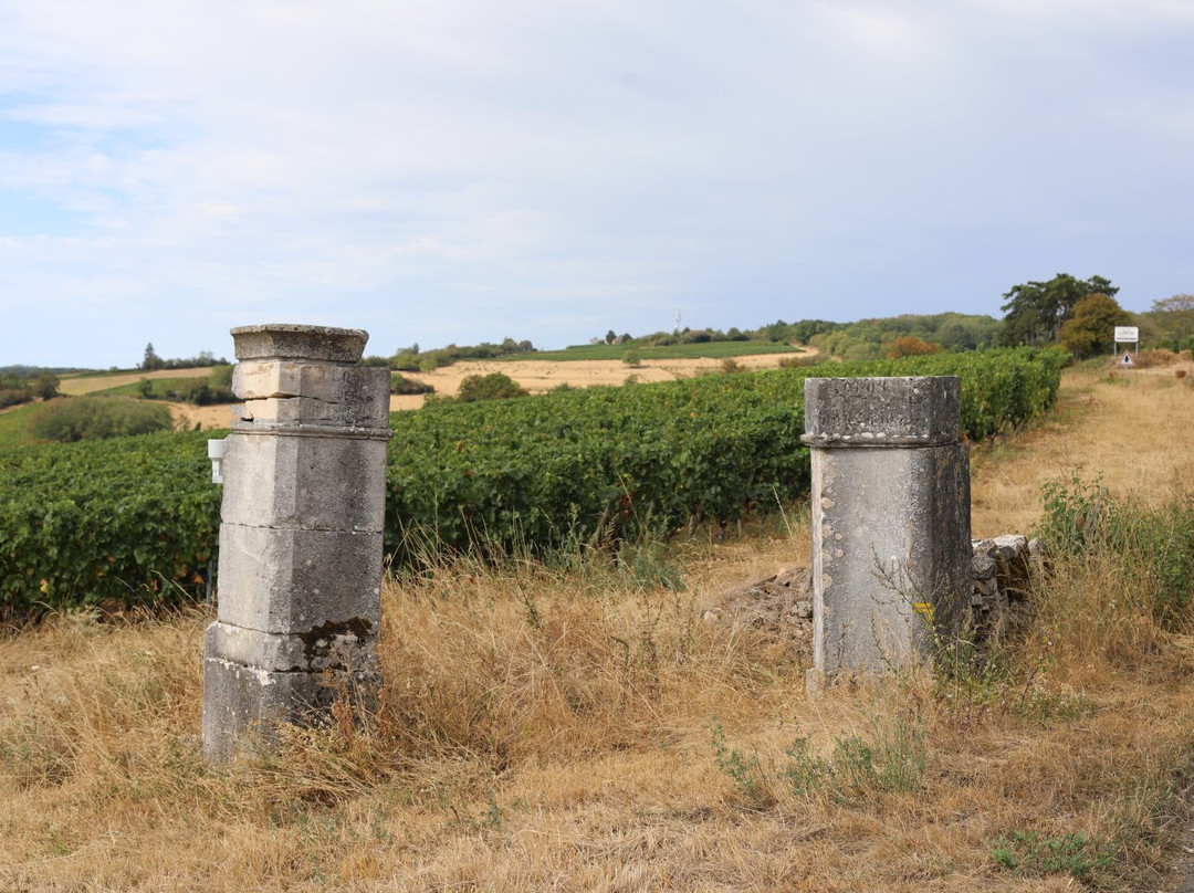 Domaine Francois Lumpp景点图片