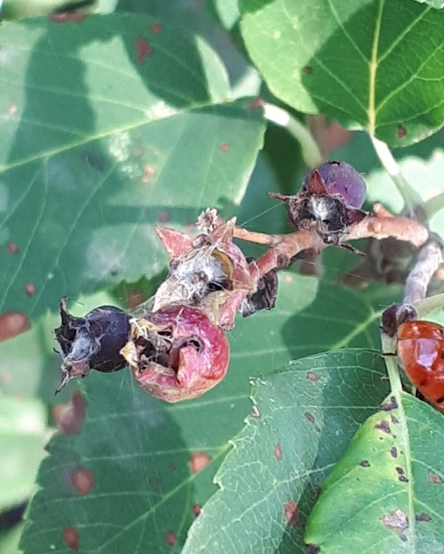 Erin Park-Killarney必去景点