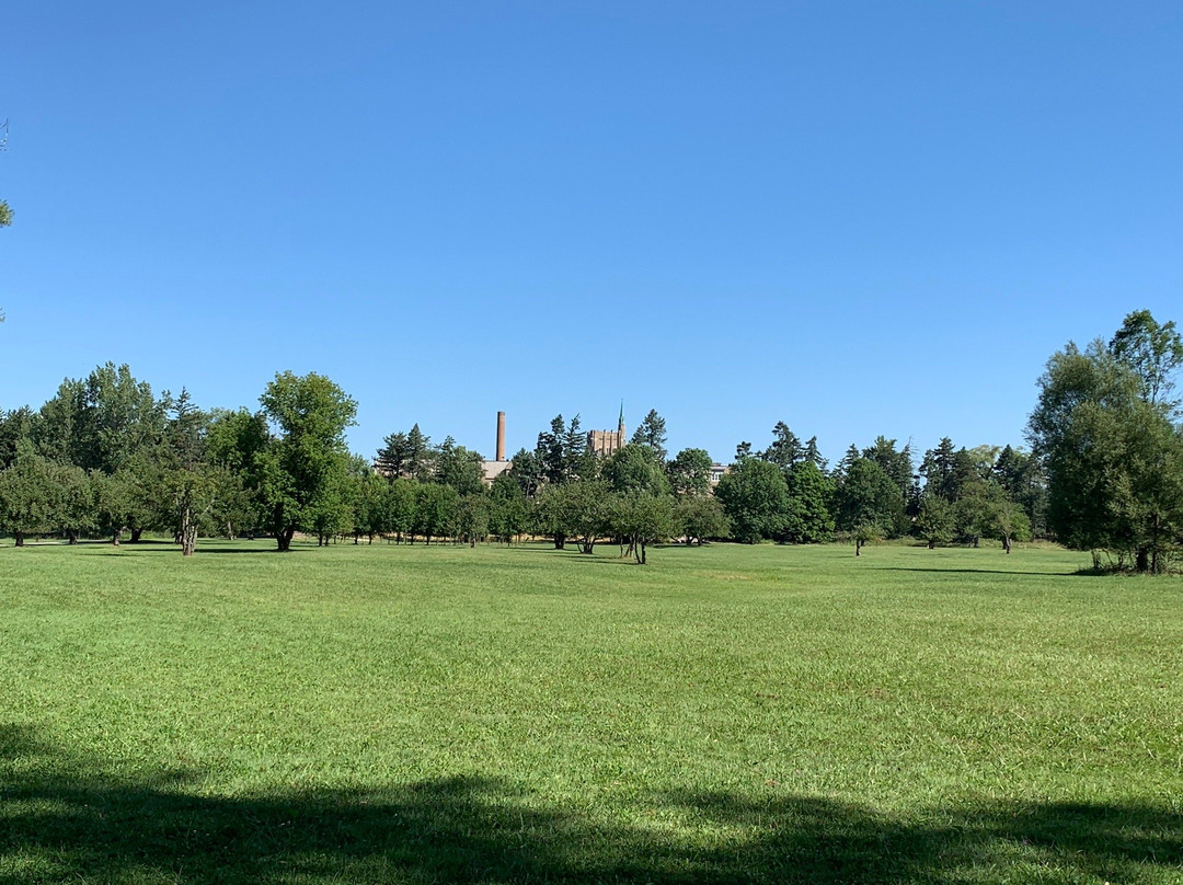 Amherst Veterans Memorial景点图片