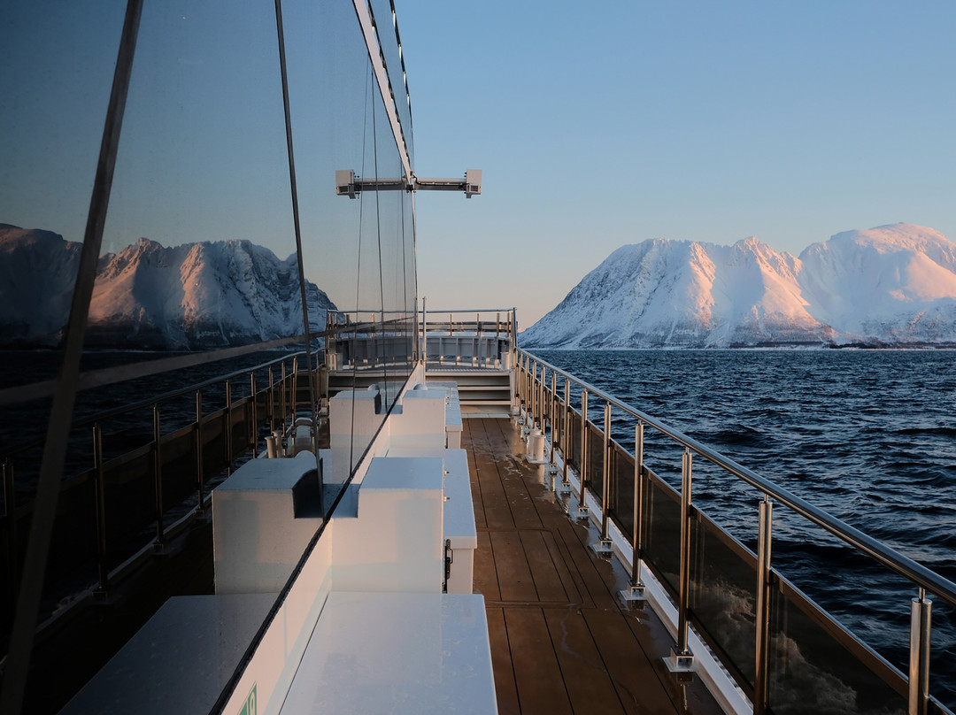 Arctic Travel Company-特罗姆瑟必去景点