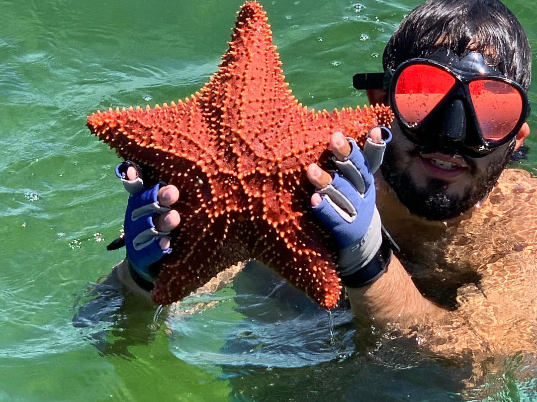 Sea Bird Marina-Long Key必去景点