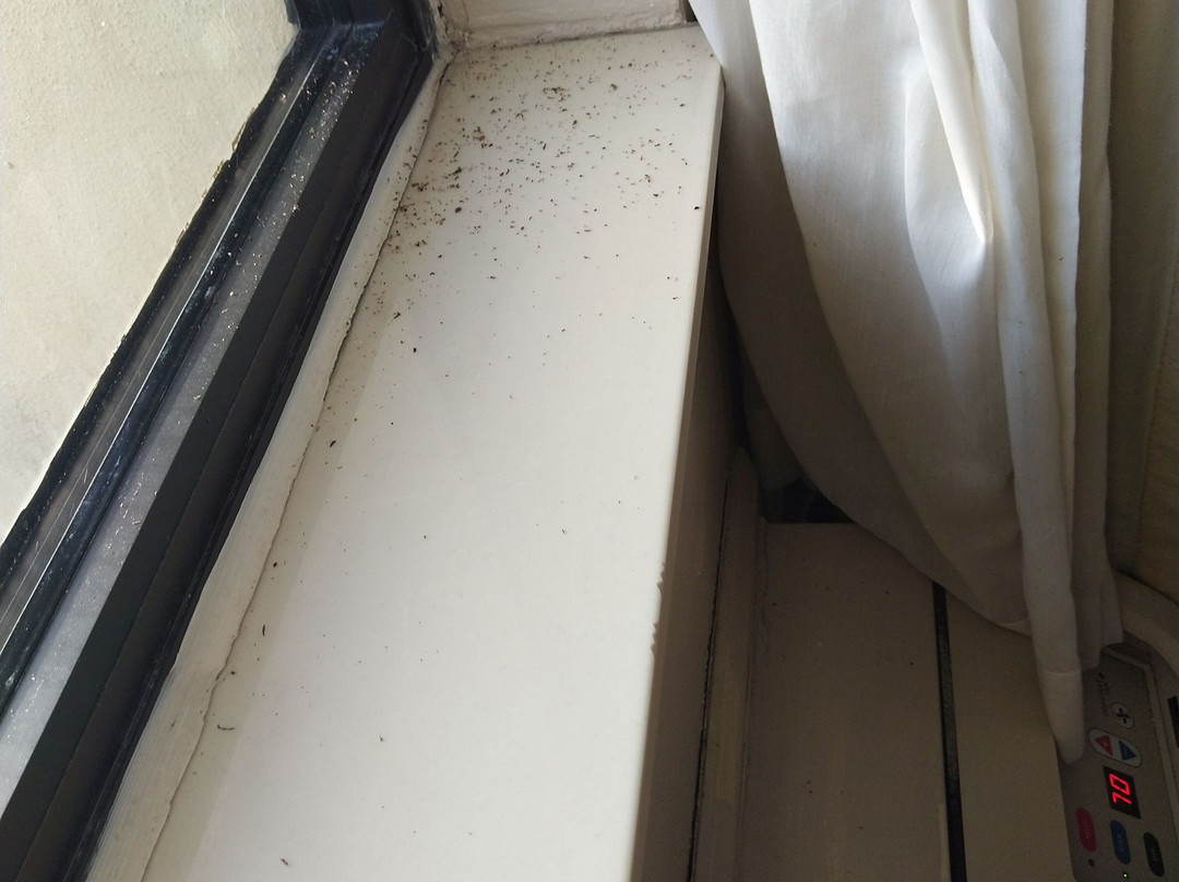 Baymont by Wyndham Elkhart主图