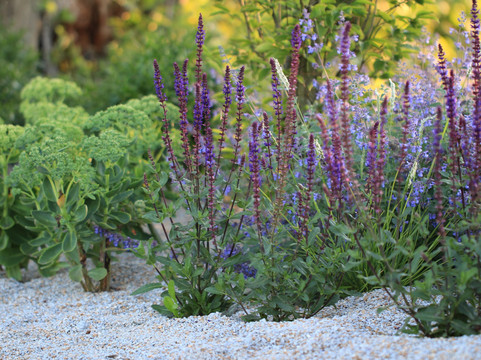 Mühlengarten Heinzlgrün-Waldmunchen必去景点