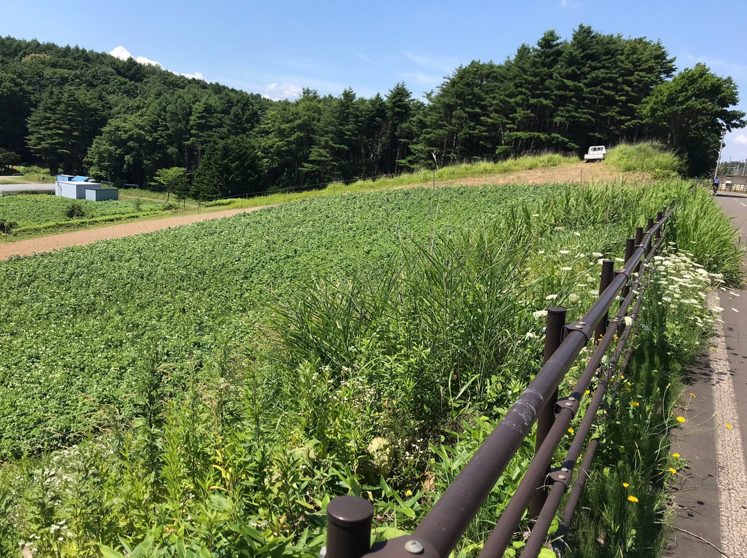 Kitahiroshima Cycling Road-北广岛市必去景点