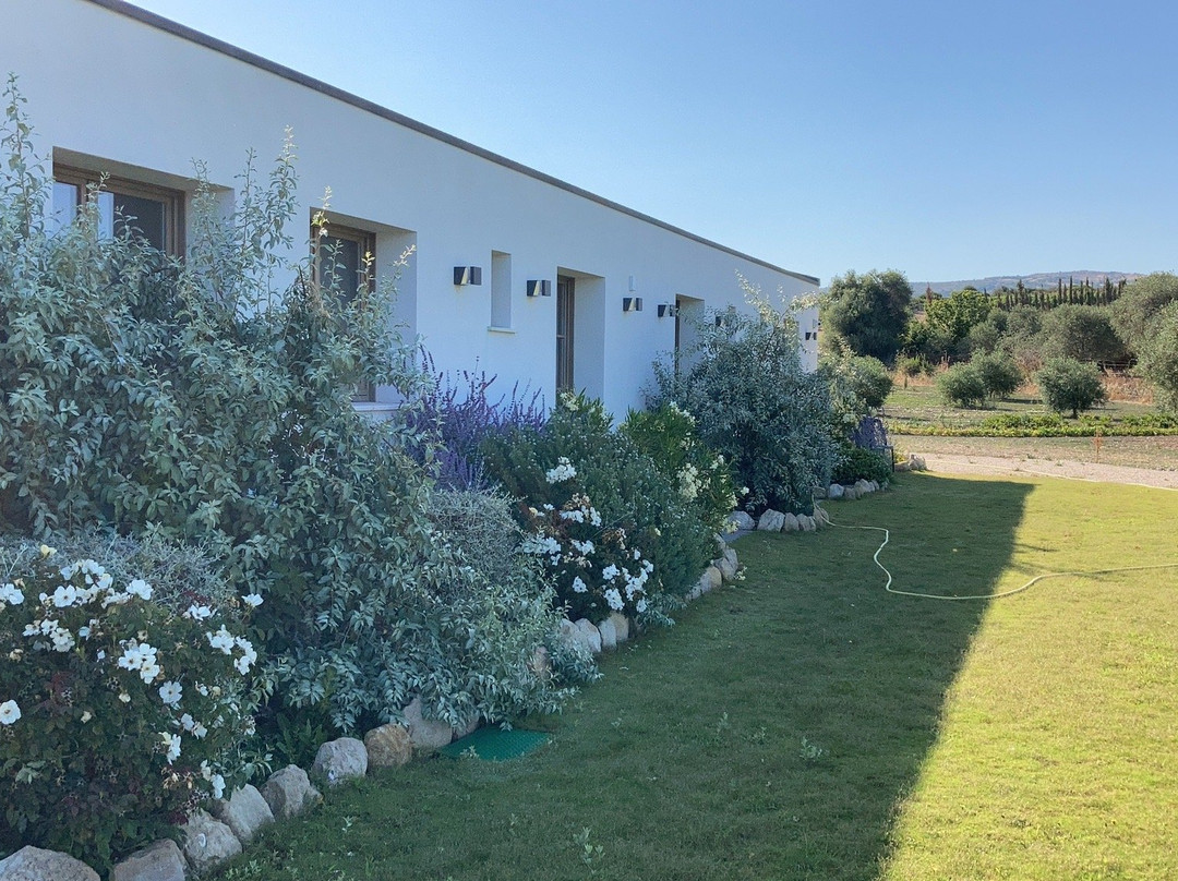 Serra Niedda Resort & Agriturismo主图