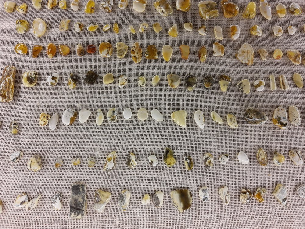 Muzeum Bursztynu景点图片