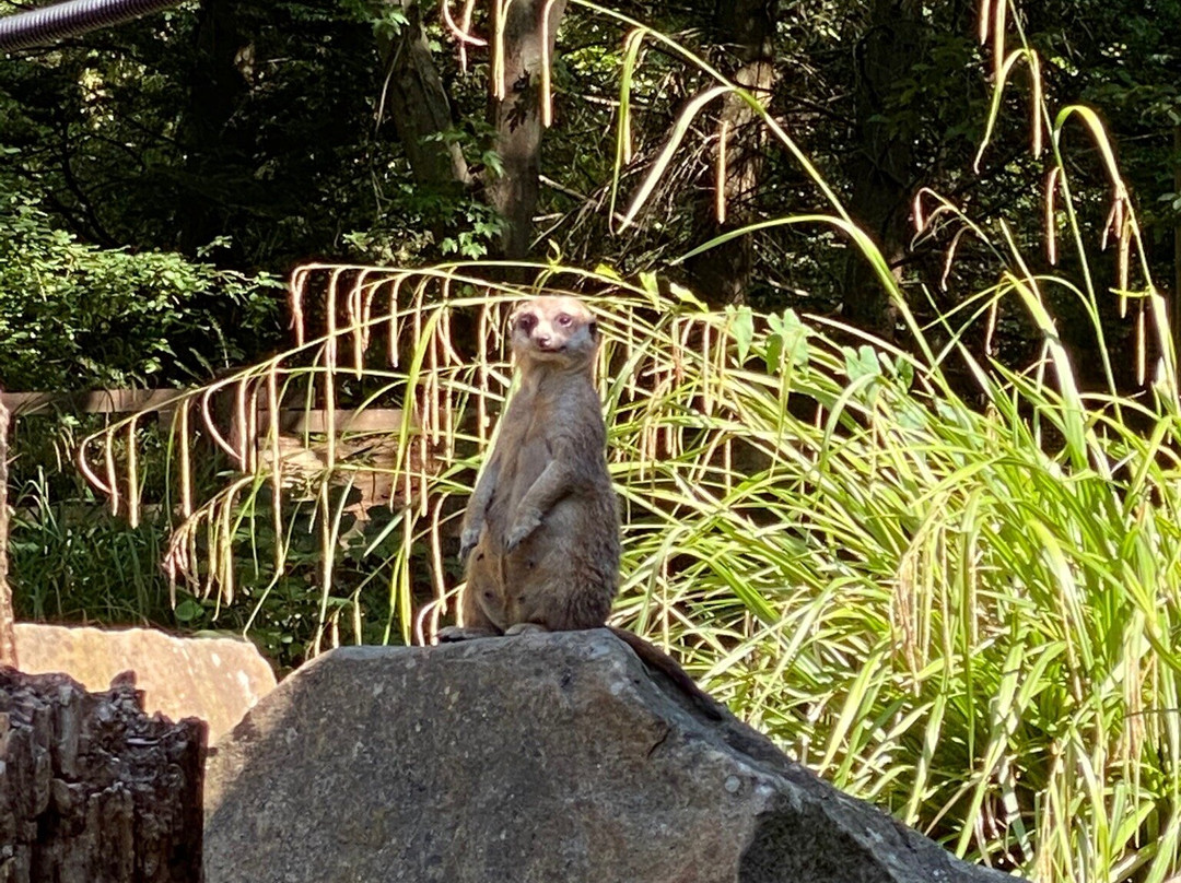 Tierpark Hamm景点图片