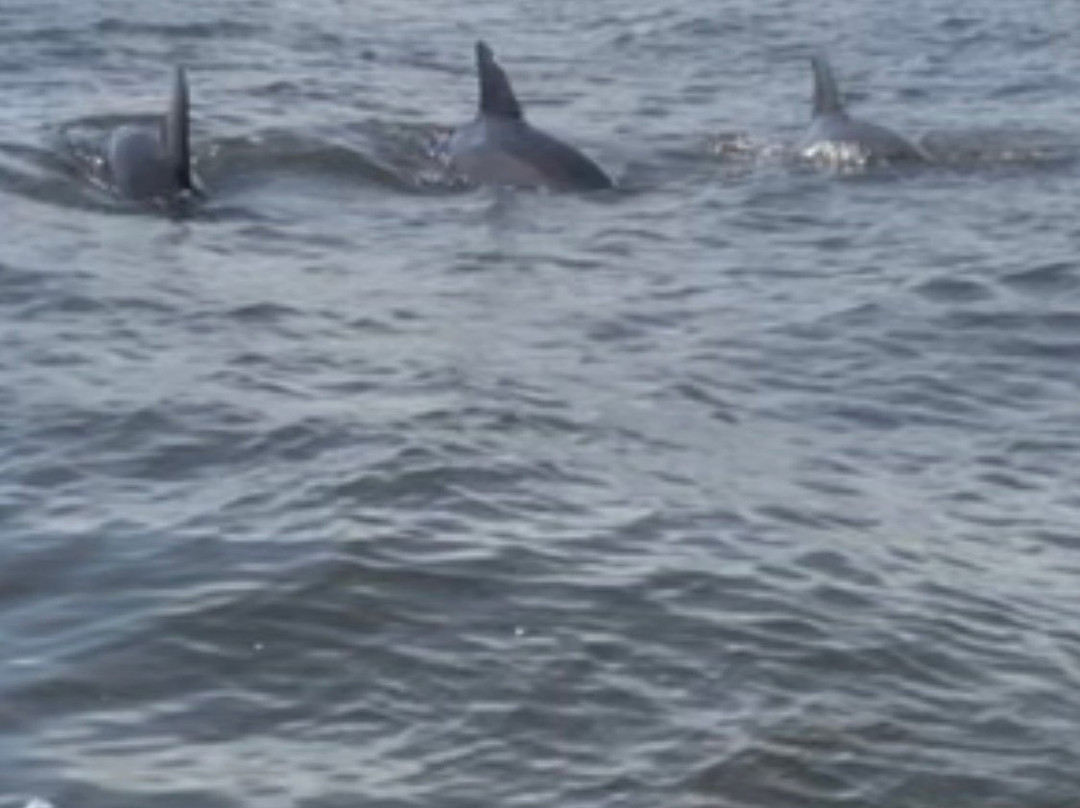 Makin Waves JetSki Rentals-Sneads Ferry必去景点