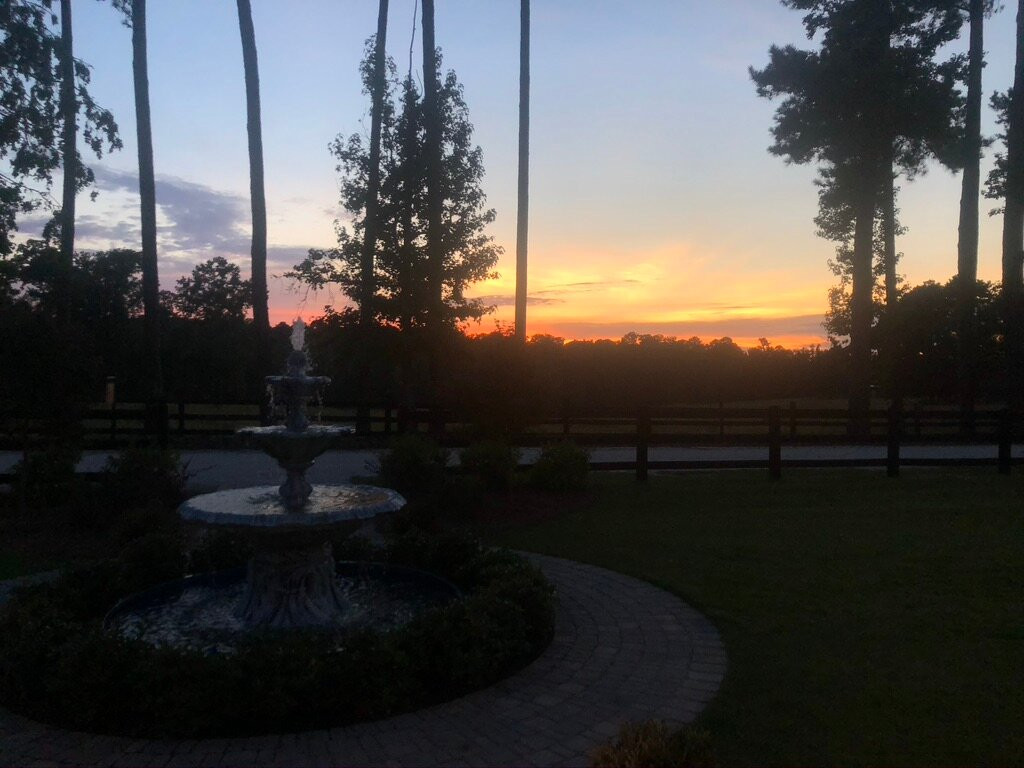 Pine Knoll Farms