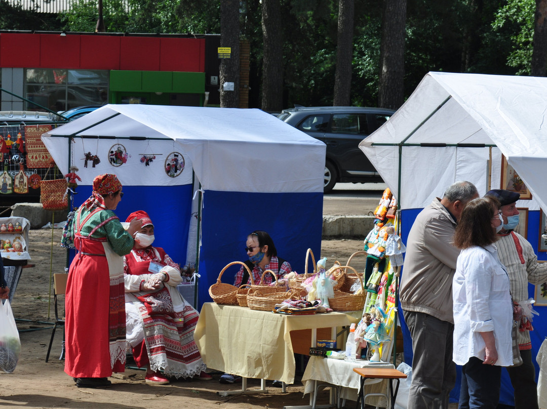 Izhorskiy Ethnographic Museum景点图片