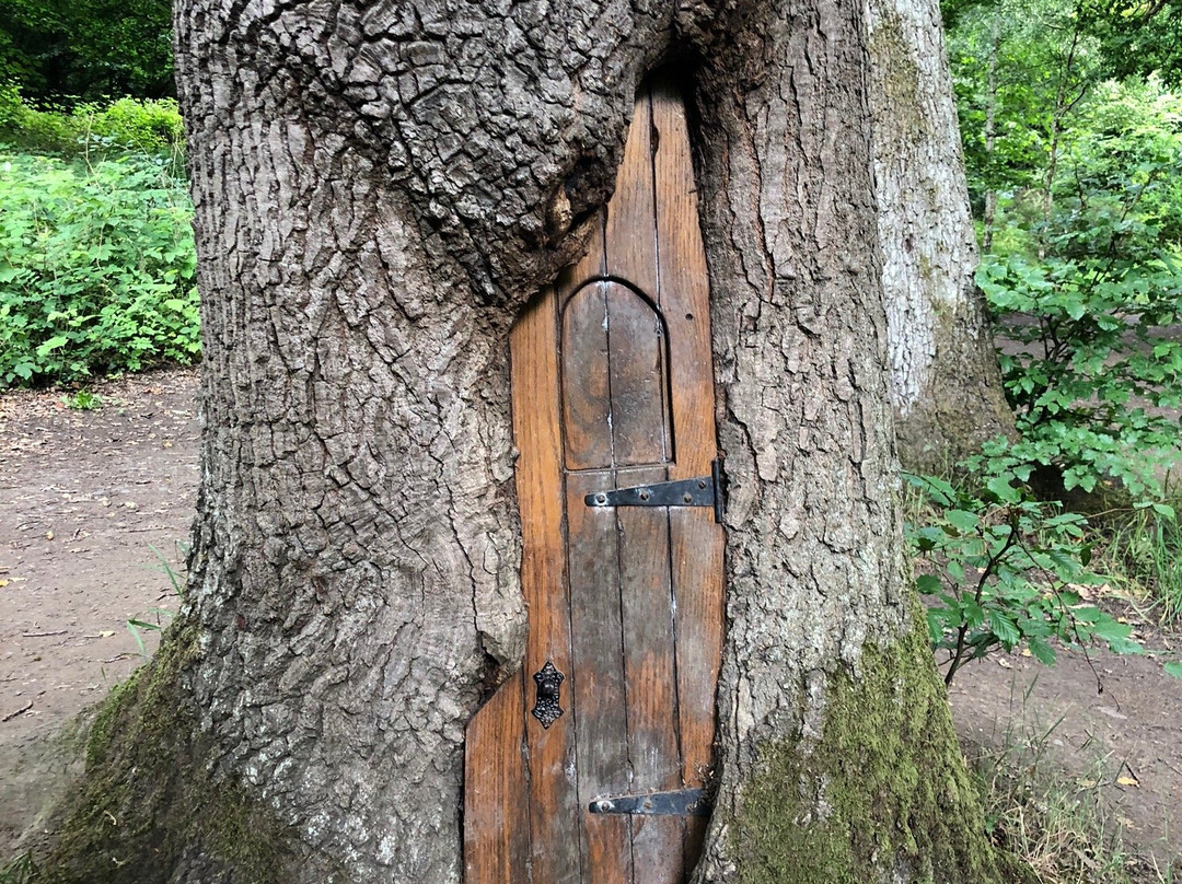 Plessey Woods Country Park-Bedlington必去景点