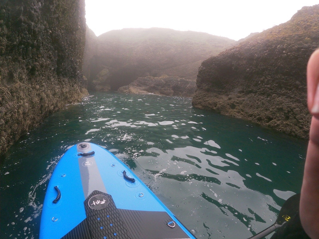 Stonehaven Paddleboarding-斯通黑文必去景点