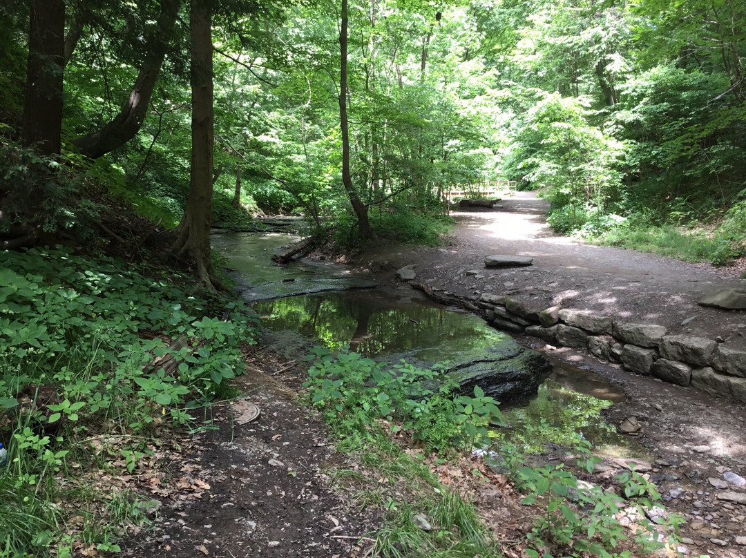 Fall Run Park - Lower Entrance-Glenshaw必去景点