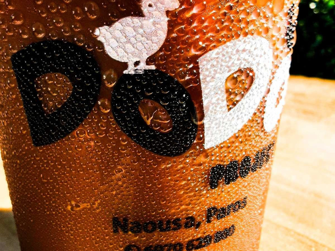 Dodo Project-Naousa必去景点