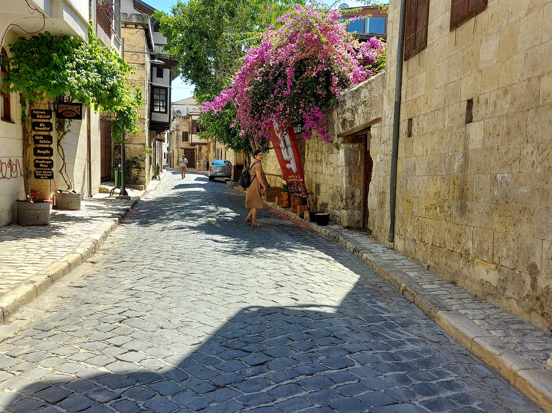 Old Tarsus Houses景点图片