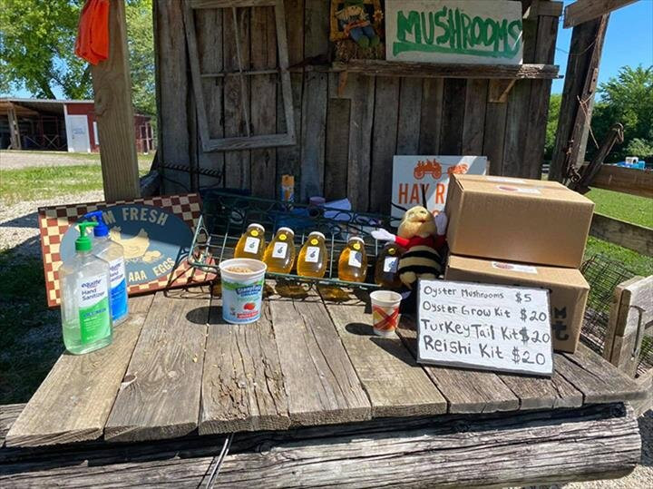 Patch 22-Wadsworth必去景点