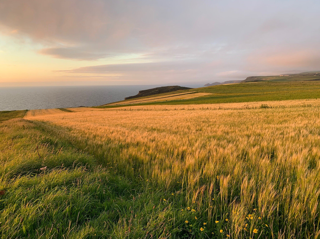 The Old Parsonage主图