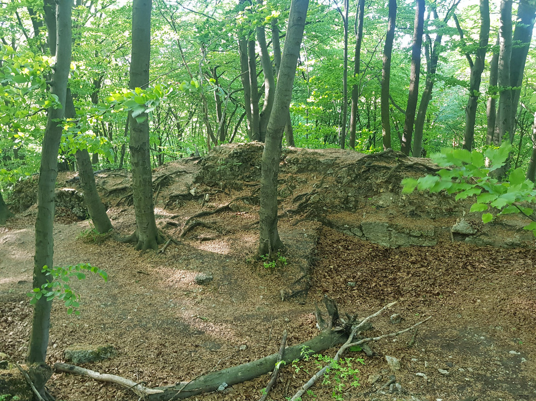 Zamek Ostrężnik景点图片