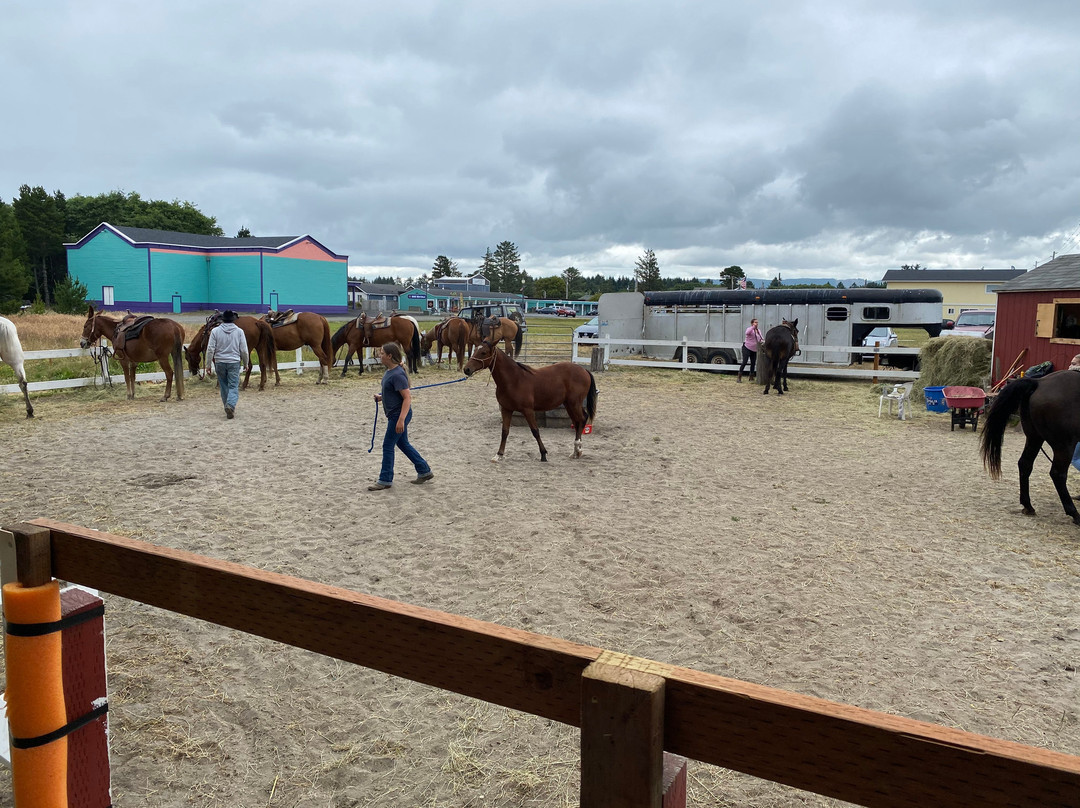 West Coast Horse Rides景点图片