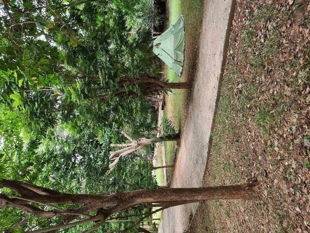 Baan Rak Mai主图