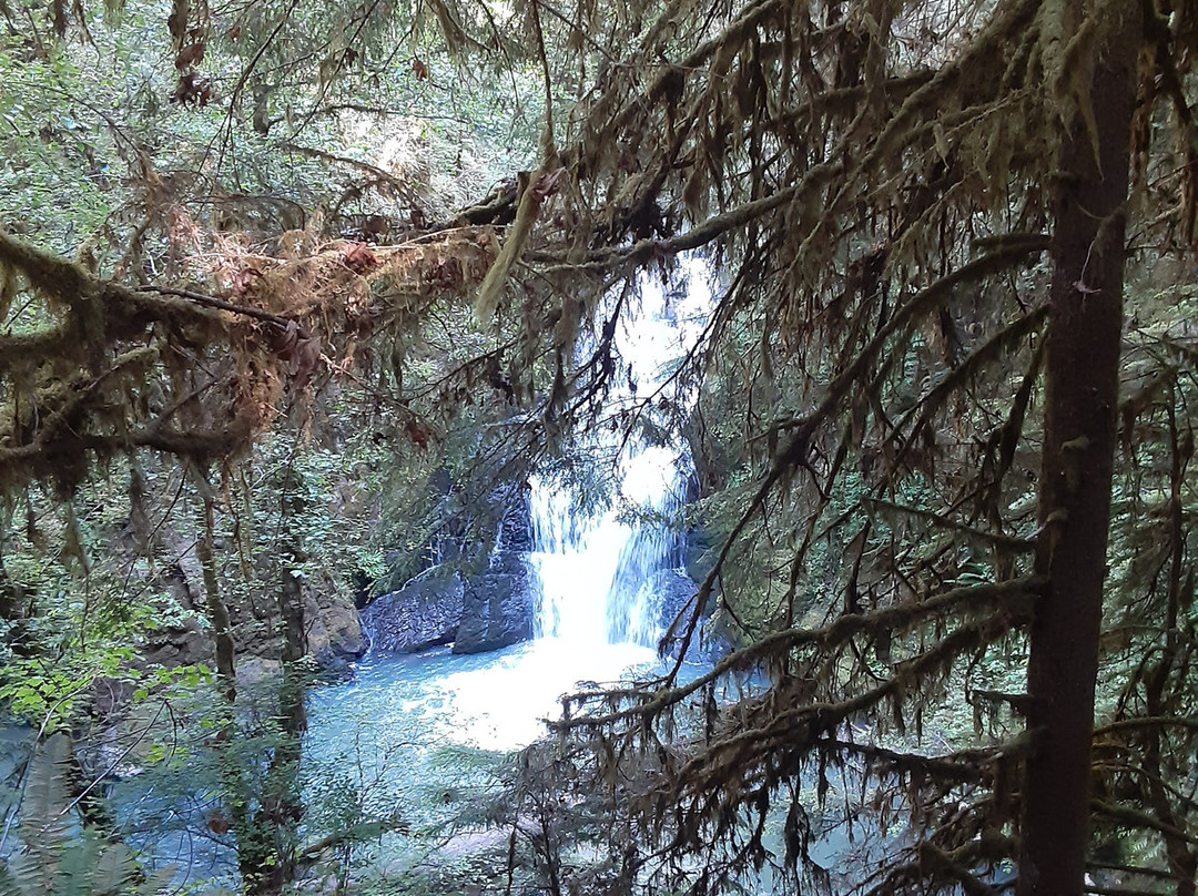 Wolf Creek Falls Trail景点图片
