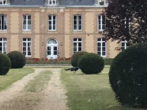 Beaufai旅游攻略图片