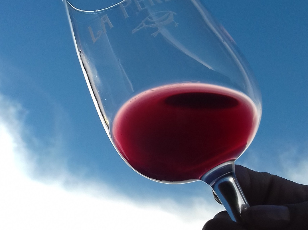 Domaine de la Perdrix景点图片